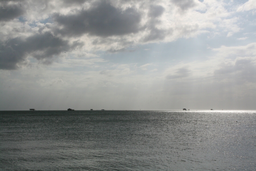 020_Biscayne Bay_08425