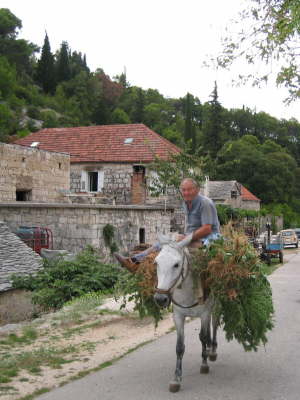 Dol, sehr urspr�nglich ....