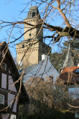 Altstadtblick zur Burg (2)