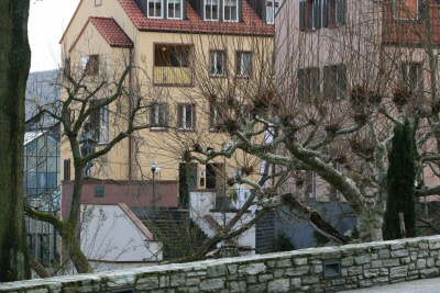 Neuer Markt mit Ritter Hartmut der XII.